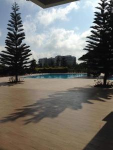 duas árvores numa praia com piscina em Wind Residences Tagaytay em Tagaytay