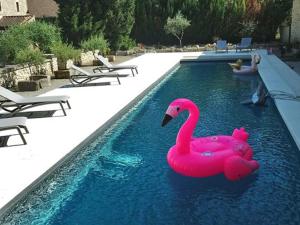 einen rosa Flamingo im Wasser in einem Pool in der Unterkunft Le Mas Vieux in Graveson