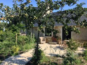 Brucourt的住宿－Domaine du Lieu des Brocs - Country Club，房子前面的苹果树
