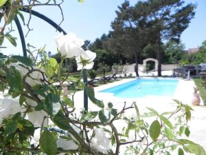 The swimming pool at or close to Le Petit Domaine de Bois Avril