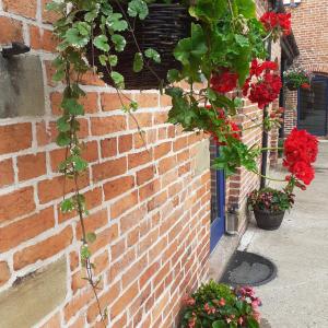 a brick wall with red flowers and plants at Fieldsview in Wrexham
