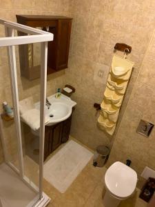 a bathroom with a sink and a toilet at Francesco's Mountain Apartment in Predeal