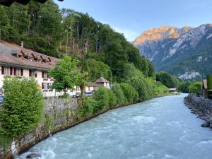 einen Fluss in einem Tal mit Gebäuden und Bäumen in der Unterkunft Historic Hotel Steinbock in Wilderswil