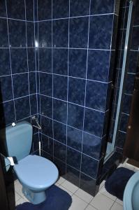 uma casa de banho em azulejos azuis com um WC e um chuveiro em Pokoje Gościnne pod Sikornikiem em Cracóvia