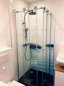 a shower with a glass door in a bathroom at Apartment End in Heidelberg