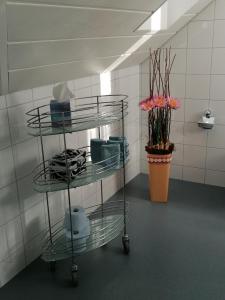 Fotografie z fotogalerie ubytování Gasthaus Bären Schlatt v destinaci Appenzell + 37 fotografií