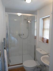 a bathroom with a shower and a toilet and a sink at The Willows in Shillingstone