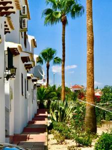eine Straße mit Palmen neben einem Gebäude in der Unterkunft 2-Bed Apartment 10 min drive to the Beach! in Ciudad Quesada