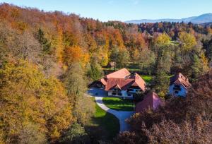 A bird's-eye view of Domačija Šeruga