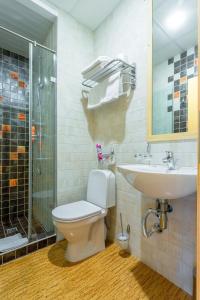 ein Bad mit einem WC, einem Waschbecken und einer Dusche in der Unterkunft Herzen House in Sankt Petersburg