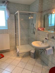 La salle de bains est pourvue d'une douche et d'un lavabo. dans l'établissement Steimke's Landhotel, à Graue