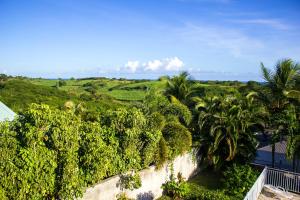 una vista aérea de un jardín con palmeras en Appartement d'une chambre avec piscine partagee jardin et wifi a Sainte Anne a 3 km de la plage, en Sainte-Anne