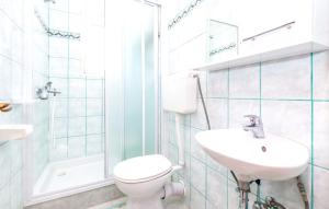Koupelna v ubytování Comfortable apartment with garden in Palit, 100 m², for 6 guests.