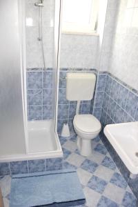 a bathroom with a toilet and a shower and a sink at Apartment with Sea View in Zečevo Rogozničko – 65 sqm with Balcony in Zečevo Rogozničko
