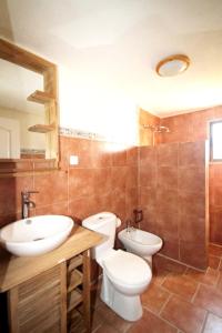 Gallery image of Spacious villa in Aroche, 160 m², private pool, 10 guests in Aroche