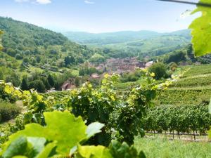 Gallery image of Appartement de 3 chambres avec jardin amenage et wifi a Epfig in Epfig