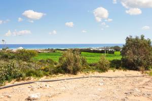 Gallery image of 4 bedrooms villa with sea view enclosed garden and wifi at Kelibia 4 km away from the beach in Kelibia
