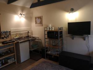 salon z telewizorem z płaskim ekranem i kuchnią w obiekcie Private Cottage Bothy near Loch Lomond & Stirling w mieście Buchlyvie