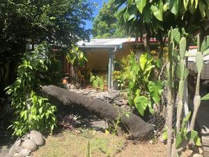 un jardín frente a una casa con una valla en Studio avec jardin clos et wifi a Basse Terre, en Basse-Terre