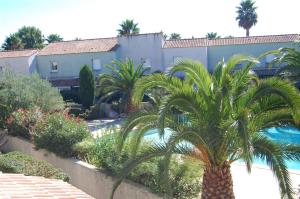 ヴァルラ・プラージュにあるAppartement de 2 chambres a Valras Plage a 600 m de la plage avec piscine partagee terrasse amenagee et wifiの椰子の木