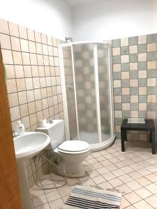 La salle de bains est pourvue d'une douche, de toilettes et d'un lavabo. dans l'établissement Studio with shared pool and wifi at Grammichele, à Grammichele