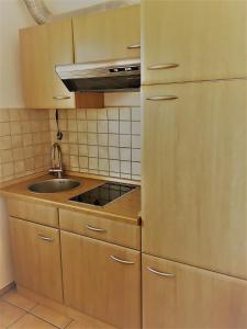 una pequeña cocina con fregadero y nevera. en Appartement Joli, en Bernau am Chiemsee