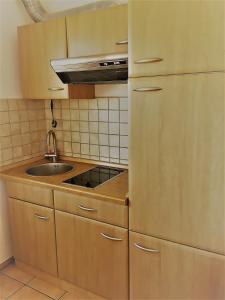 Una pequeña cocina con fregadero y refrigerador. en Appartement Joli, en Bernau am Chiemsee