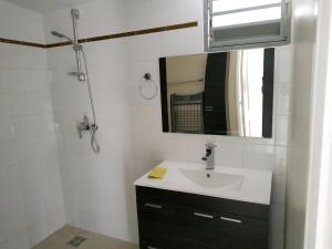 uma casa de banho com um lavatório e um espelho em Studio avec jardin clos et wifi a Le Lamentin a 5 km de la plage em Le Lamentin