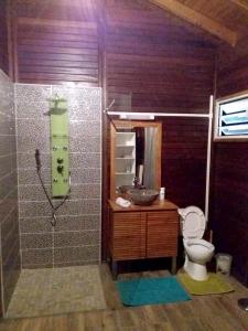 ein Bad mit einem WC, einem Waschbecken und einer Dusche in der Unterkunft Maison de 2 chambres avec jardin clos et wifi a Petit Bourg in Petit-Bourg