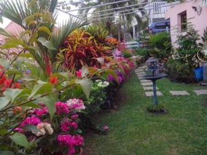 a garden with colorful flowers in a greenhouse at Appartement cosy avec vue sur le jardin à Sainte Anne, 30 m² in Sainte-Anne +4 photos