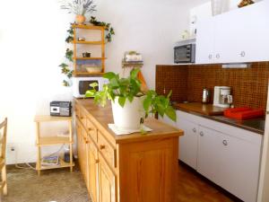 une cuisine avec une plante en pot sur un comptoir en bois dans l'établissement Charmant appartement à Enchastrayes 38 m² avec vue montagne, à Enchastrayes