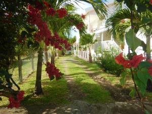 Zahrada ubytování Appartement de 3 chambres a Le Vauclin a 150 m de la plage avec piscine privee jardin amenage et wifi