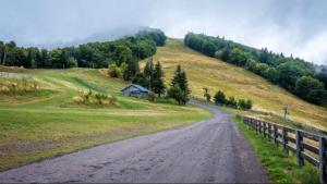 una strada sterrata in un campo con una casa su una collina di Appartement charmant à Plancher-les-Mines 40 m² avec jardin a Plancher-les-Mines
