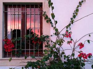 ein Fenster mit roten Blumen und einer Katze darin. in der Unterkunft Charming House in Vittoria in Vittoria