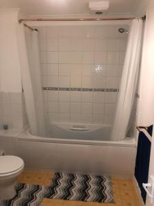 a bathroom with a bath tub and a toilet at Oaklawn serviced apartments in Woking