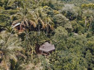 Pohľad z vtáčej perspektívy na ubytovanie Jungle Lodge