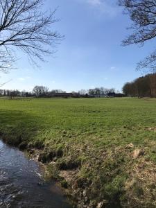 a field of grass with a river in the foreground at Apartment Erdgeschoss in Hohenlockstedt +2 photos
