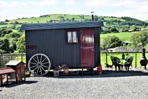 Gallery image of Meadow Shepherds hut in Nantmel