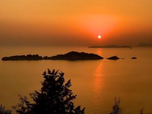 een zonsondergang boven het water met een boom op de voorgrond bij Villa Danai in Agios Georgios Pagon