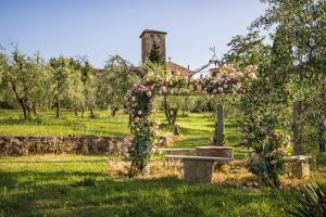 un jardín con un banco con rosas. en Villa Prato-Lami, en Casciana Terme