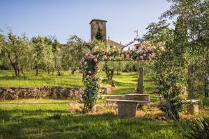 カシャーナ・テルメにあるVilla Prato-Lamiの庭(バラのベンチ付)
