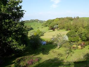 an overhead view of a garden with trees and a pond at The Liscawn in Torpoint
