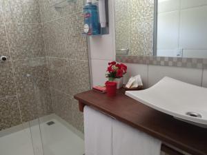 a bathroom with a sink and a shower with flowers on a counter at Pousada Chez Loran lagoa do paraiso in Jijoca de Jericoacoara