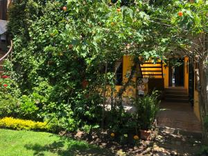 Giardino di Hostal Alcala