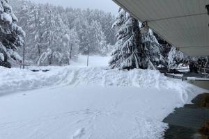 Obiekt Il rifugio dello sciatore a 200 m dagli impianti. zimą