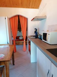 een keuken met een aanrecht en een magnetron bij La casa de toto in Savines
