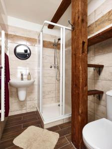 派克波特斯耐茲庫的住宿－Pension Slunečnice，带淋浴和盥洗盆的浴室