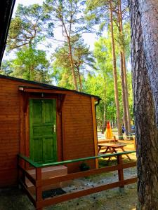 a small cabin with a green door in a forest at Domki Letniskowe MAJA in Pogorzelica