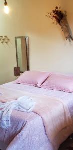 a bedroom with a bed with pink sheets and a mirror at Chalés Canto do Pavão in Visconde De Maua