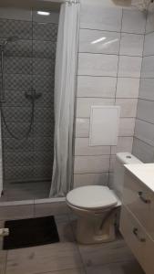 W łazience znajduje się toaleta oraz prysznic z zasłoną prysznicową. w obiekcie Apartment Attic w mieście Jáchymov